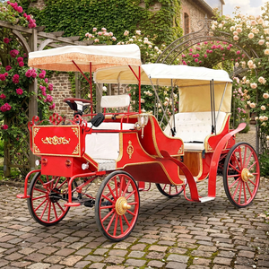 Charrettes de Cendrillon, transport spécial, charrette à chevaux, calèche électrique à vendre - Product Image 1