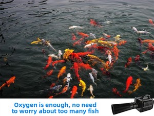 เครื่องเติมอากาศใน<span class=keywords><strong>บ่อ</strong></span><span class=keywords><strong>ปลา</strong></span> HAILEA BF สำหรับ<span class=keywords><strong>บ่อ</strong></span><span class=keywords><strong>ปลา</strong></span>ขนาดใหญ่, ปั๊มน้ำขนาดใหญ่, เครื่องเติมอากาศสำหรับ<span class=keywords><strong>ปลา</strong></span>คาร์<span class=keywords><strong>ฟ</strong></span> - Product Image 5