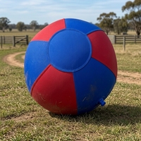 Balón de Yoga Resistente a Arañazos, Balón de Ejercicio Antiexplosión para Fitness y Estabilidad, Balón de Equilibrio Profesional para Gimnasio 45/55/65/75cm