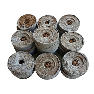 Vietnam Coir Pellet Manufacturer 42mm <b>Compress</b> Seed Starter Plug for Nursery Propagation Plug Wholesale - Product Image 1