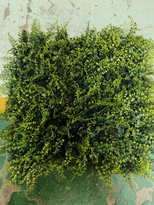 Panneau mural végétal artificiel anti-UV, tapis de jardin vertical en <span class=keywords><strong>fausse</strong></span> herbe personnalisable, décoration murale verte extérieure en faux buis - Product Image 4