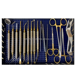 Kit de Instrumentos Quirúrgicos y Dentales Profesionales, Herramientas de Acero Inoxidable de Alta Calidad con Estuche, Proveedor Mayorista - Product Image 3