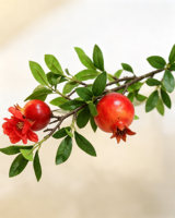 Vente en gros de branche de grenade artificielle de 60 cm avec fruits et fleurs, tige de fruit artificielle, décoration de vase pour la maison et les fêtes, origine Chine