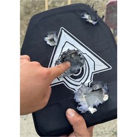 Panneau d'insertion de protection extérieur en UHMWPE-ALO 10 x 12''