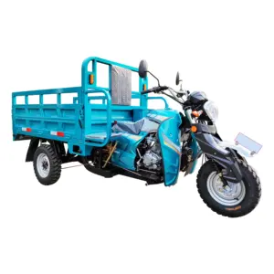 China 2021 Fabricage Benzine 3 Wiel Motorfiets Benzine Driewieler Scooters