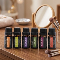 Huile Essentielle Pure de Citron, Lavande, Rose, Arbre à Thé et Orange 10ml – Approvisionnement OEM en Grande Quantité – Écologique, Aromathérapie, Relaxation, Régulation