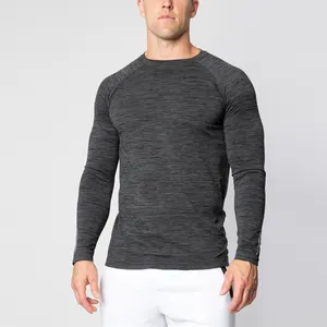 Wholesale seamless gray gym shirt men training plain shirt long sleeve men's quick-drying outdoors t-shirt