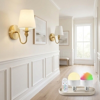 Ensemble de lampes murales LED rechargeables 3600 mAh, dorées, à intensité variable, 12 couleurs, télécommande, alimentées par batterie, pour chambre à coucher, salon, couloir