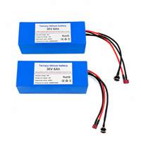 Baterai Lithium Kustom 36V 6Ah 216Wh NMC Dengan Pengisi Daya 42V 2A untuk Sepeda Listrik Skuter Unicycle Skateboard E-Bike