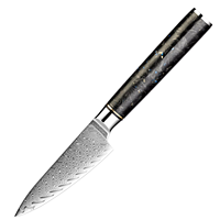 Couteau à éplucher en acier Damas de qualité supérieure, 3,5 pouces, couteau à fruits tranchant avec manche en fibre de carbone recouvert de résine, couverts de cuisine exquis
