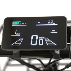 Triciclo Eléctrico de Carga TXED de 20 Pulgadas, Una Velocidad, 48V 500W, Sin Escobillas, 15AH, Cuadro de Aluminio, Freno de Disco, Motor en el Buje Trasero - Product Image 6