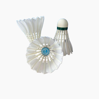 Volants de badminton NO 9 en plumes de canard - Volants d'entraînement professionnels - Vol stable - Fabrication soignée - Convient pour les sports en salle