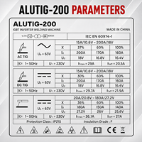 Soldadora TIG AC/DC de 200A con Pulsos Sinérgicos para Soldadura de Aluminio, para Mantenimiento en Talleres Automotrices, con Modo de Limpieza de Núcleo de Acero Inoxidable, Certificación CE