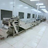 TEK Industriële Kleine Blancheringsmachine voor Zeevruchten, Fruit, Groenten, Garnalen, Zeevruchten Blancheren, Drogen, Productielijn