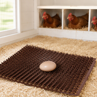 Tapis de nidification en plastique pour poulailler, amovible, marron, pour poules pondeuses, accessoires d'équipement pour poulailler