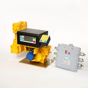 Ecotec LC דיגיטלי דיזל מד זרימת גז תחנת ציוד עבור דלק Dispenser - Product Image 2