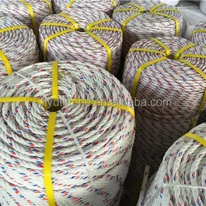 Plastic Traction PP Danline Rope With Polypropylene PP Medium Laid For Fishing Industry Mooring 22MM 26MM 200M