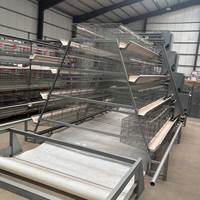 Cage automatique de type A pour 5000 poules pondeuses, équipement d'élevage avicole