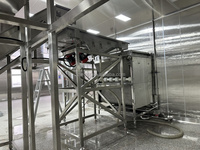 Vicmai Automatische Tunnel Vriesmachine voor Groenten en Fruit, Vloeibaar Continue Snelle Vriesmachine IQF, 100-5000kg/u erwten, sperziebonen