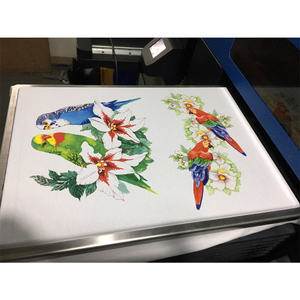 Chất lượng chuyên nghiệp DTG dệt cho mực cho kornits sấm 932 máy in kỹ thuật số bao gồm cả giải pháp làm sạch - Product Image 4