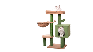 Menara kucing pendek hijau kustom dengan mainan bingkai panjat tebing kayu tali Sisal alami untuk kucing kecil-grosir - Product Image 6