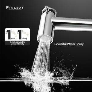 PINEBAY уникальные продукты для продажи премиум класса Ванная комната ручной абс пластиковый Shattaf Туалет Хромированный Водяной подгузник Биде набор распылителя - Product Image 5