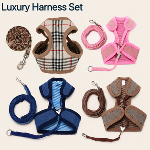 Conjunto de Arnés para Perro, Arnés y Correa de Malla Suave de Lujo para Mascotas, Arnés de Paseo de Diseño para Perros, Productos Premium para Perros Pequeños - Product Image 1