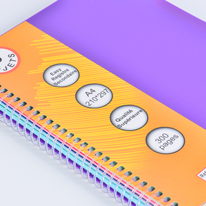 Fabrika doğrudan satış <span class=keywords><strong>A4</strong></span> standart boyut gökkuşağı renk serisi fransız regle formatı iç sayfalar Spiral defter okul toplu - Product Image 4