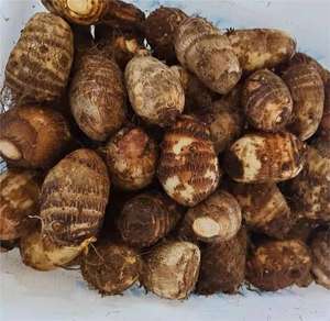 New Crop Fresh Taro Wasser gewaschen Taro Factory Niedriger Preis Taro - Product Image 2