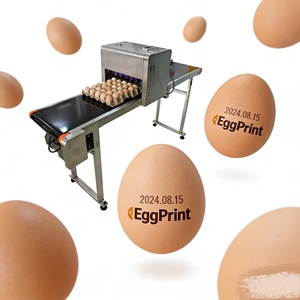 Machine à estamper les œufs facile à utiliser / Imprimante à œufs / Équipement d'impression personnalisée sur œufs - Product Image 2