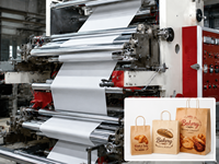 Machine d'Impression Flexo Automatique 2 Couleurs pour Sacs en Film Plastique et Papier