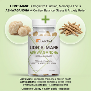 Gummies à la Crinière de Lion et Ashwagandha Sans Sucre Marque Blanche Certifiées GMP pour le Calme du Stress et la Performance Cognitive, Vente en Gros OEM - Product Image 2