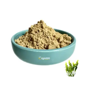 Высококачественные коричневые водоросли (водоросли) порошковый экстракт ламинарии японской фукоксантин 10%-50%