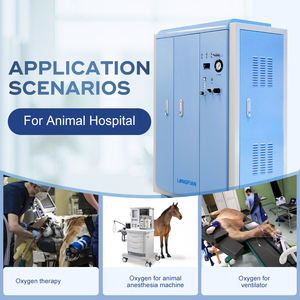 Système d'alimentation en oxygène haute pression vétérinaire générateur d'oxygène médical Psa à haut débit 20LPM pour les hôpitaux de <span class=keywords><strong>zoo</strong></span> et d'animaux - Product Image 2