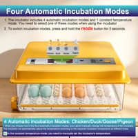 Incubateur d'œufs entièrement automatique 64 œufs, contrôle numérique de la température et de l'humidité, retournement automatique, couveuse de poulets, cailles et volailles pour la ferme