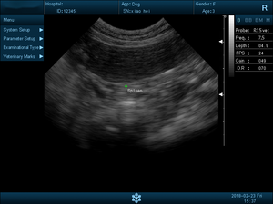Appareil d'échographie vétérinaire portable, système de diagnostic, scanner, appareil d'échographie vétérinaire pour hôpital - Product Image 3