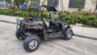Buggy tout-terrain 200CC 4X2 / Buggy de dune / Karting EEC