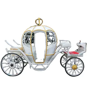 风景展览/婚礼用带发光二极管的浪漫马车专用南瓜马车