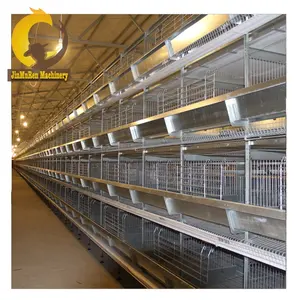 Jinmuren Poultry Equipment Chicken Layer Coops Layer Cages Battery Cage