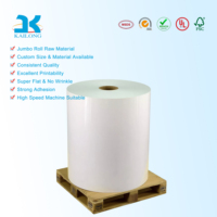 Base de Vinilo Universal Flexible para Etiquetas Jumbo Master Roll, Adhesivo Termofusible, Gama Completa de Especificaciones, Conversión Profesional de Etiquetas