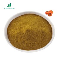Vente en gros de poudre d'extrait de kaki en vrac naturel pur Poudre de fruit de kaki Poudre de feuille de kaki
