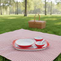 Le service de table en mélamine nouvellement conçu est un best-seller. Ensemble de vaisselle en plastique rouge adapté aux restaurants