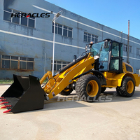 En stock, vente flash : Chargeur agricole H580 avec godet de 1,3 m³ et configuration personnalisée pour l'agriculture et les vergers