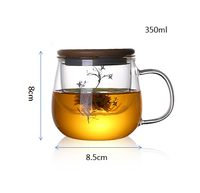 Nouveau produit : Infuseur à thé 300 ml en verre borosilicate de haute qualité avec infuseur et couvercle, tasse à thé en verre, théière en verre