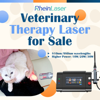 Veteriner Rehabilitasyon Merkezleri için 810nm 980nm ile 10W-30W Çıkışlı Tıbbi Sınıf IV Lazer Terapi Cihazı