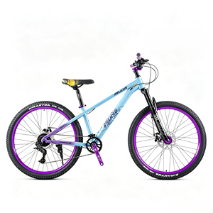 Vélo de montagne de style européen, 26, 24, 29 pouces, frein à disque, fourche en acier, adulte - Product Image 2
