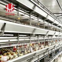 Cage d'élevage de poussins de type H, équipement avicole automatique pour ferme commerciale avec structure multi-niveaux et cadre galvanisé durable