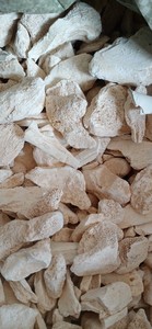 ONG Gu Fossilized ones <span class=keywords><strong>Ossa</strong></span> Draconis Dragon bones para hierba - Product Image 2