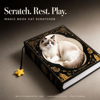 Tempat Tidur Kucing dari Karton Bergelombang Bebas Serpihan dengan Sampul Buku Cetak Emas dan Gantungan Mainan Bintang untuk Kucing Kecil