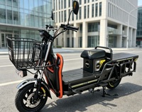 Moto électrique tout-terrain robuste YT 35 avec cadre en acier haute teneur en carbone, batterie au plomb ou au lithium en option pour la télécommande